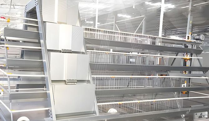 階梯式自動化養殖設備